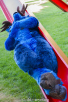 MNFurs Fursuit Romp and Fireworks-057 