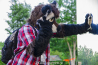 MNFurs Fursuit Romp and Fireworks-112 