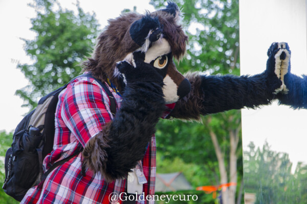 MNFurs Fursuit Romp and Fireworks-112