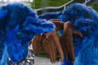 MNFurs Fursuit Romp and Fireworks-144 
