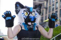 MNFurs Fursuit Romp and Fireworks-146 