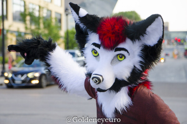 MNFurs Fursuit Romp and Fireworks-157