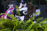 MNFurs Fursuit Romp and Fireworks-161 