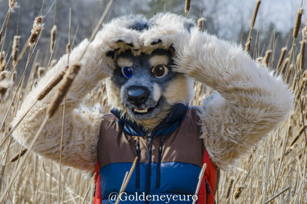 MNFurs Romp Mar 5 2017-033
