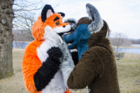 MNFurs Romp Mar 5 2017-125 