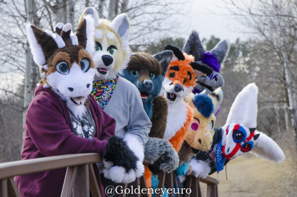 MNFurs Romp Mar 5 2017-159
