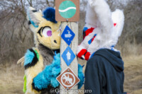 MNFurs Romp Mar 5 2017-173 