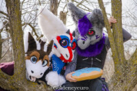 MNFurs Romp Mar 5 2017-217 
