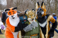 MNFurs Romp Mar 5 2017-283 