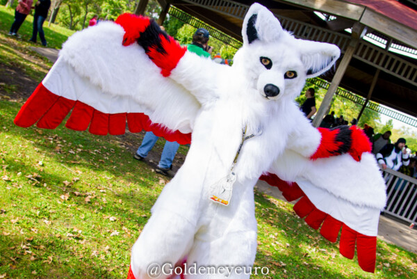 MNFurs Fall Picnic 2017-073
