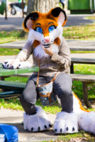 MNFurs Fall Picnic 2017-121 