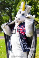 MNFurs Fall Picnic 2017-168 