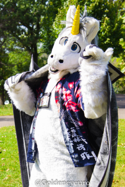 MNFurs Fall Picnic 2017-168