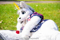 MNFurs Fall Picnic 2017-174 
