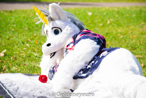 MNFurs Fall Picnic 2017-174