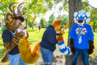 MNFurs Fall Picnic 2017-207 