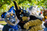 MNFurs Fall Picnic 2017-257 