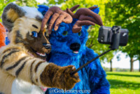 MNFurs Fall Picnic 2017-278 