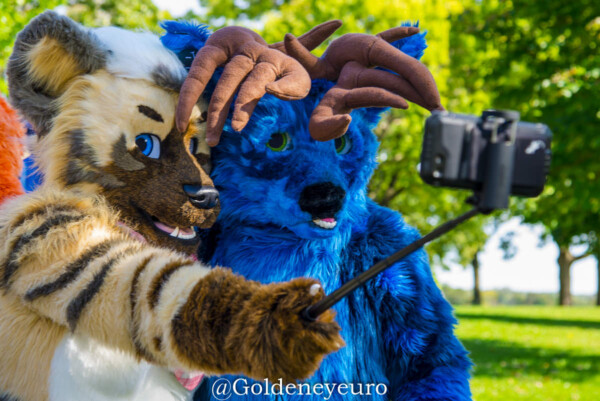 MNFurs Fall Picnic 2017-278