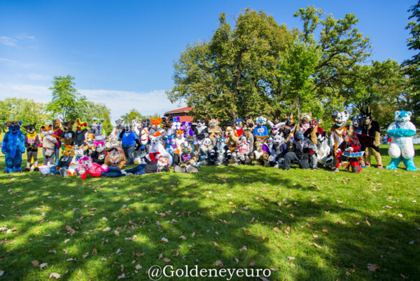 MNFurs Fall Picnic 2017-315
