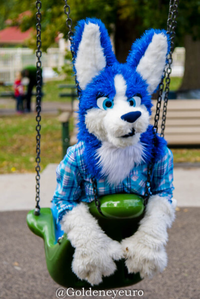 MNFurs Fall Picnic 2017-417