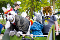 MNFurs Fall Picnic 2017-420 