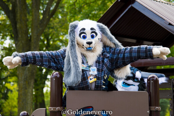 MNFurs Fall Picnic 2017-428