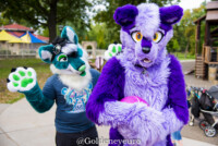 MNFurs Fall Picnic 2017-434 
