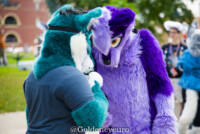 MNFurs Fall Picnic 2017-449 