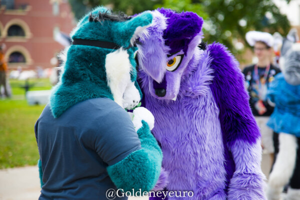 MNFurs Fall Picnic 2017-449