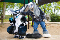 MNFurs Fall Picnic 2017-457 