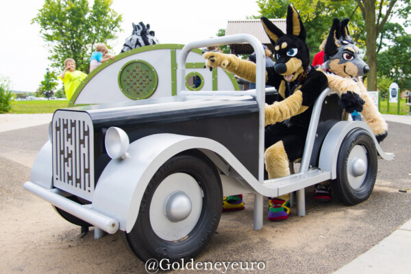 MNFurs Fall Picnic 2017-494