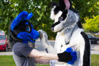MNFurs Fall Picnic 2017-632 
