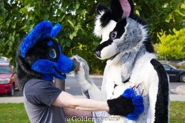 MNFurs Fall Picnic 2017-632