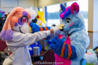 MNFurs Holiday Party 2017-Jan 21 2018-006 