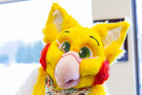 MNFurs Holiday Party 2017-Jan 21 2018-038 