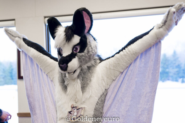 MNFurs Holiday Party 2017-Jan 21 2018-075