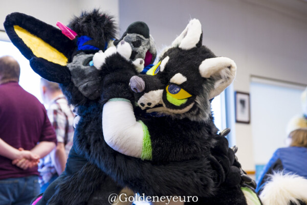 MNFurs Holiday Party 2017-Jan 21 2018-106