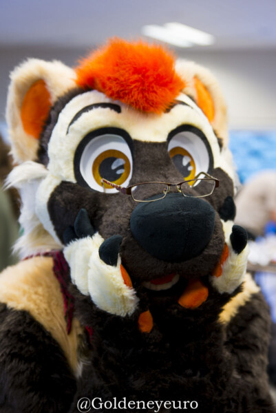 MNFurs Holiday Party 2017-Jan 21 2018-117
