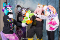 MNFurs Holiday Party 2017-Jan 21 2018-185 