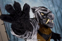 MNFurs Holiday Party 2017-Jan 21 2018-222 