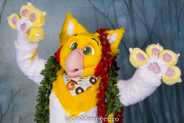 MNFurs Holiday Party 2017-Jan 21 2018-259