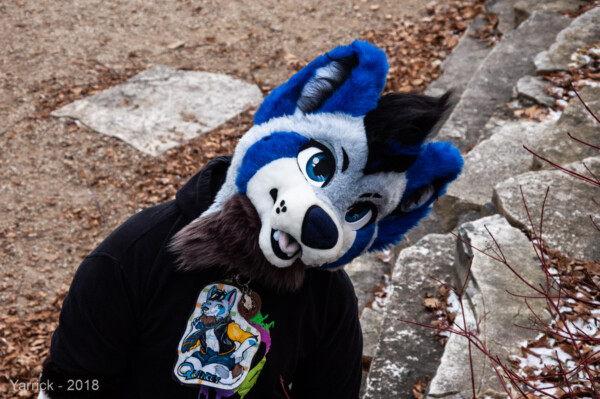 DSC_3907