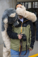 Fursuit Romp Oct 13 2018-014 