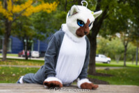 Fursuit Romp Oct 13 2018-066 