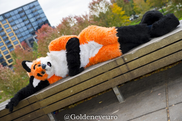 Fursuit Romp Oct 13 2018-109