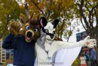 Fursuit Romp Oct 13 2018-152 