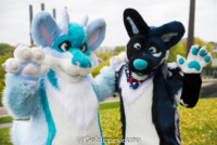 Fursuit Romp Oct 13 2018-153 