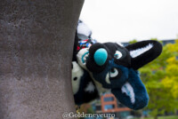 Fursuit Romp Oct 13 2018-185 