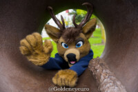 Fursuit Romp Oct 13 2018-188 
